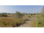 Annesso agricolo in vendita a Grosseto 80000 mq  Rif: 1397047