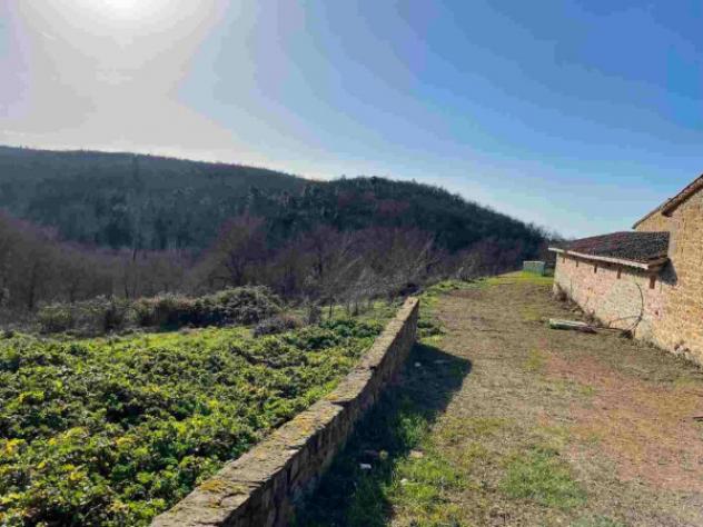 Immobile in asta di 34322 m² in vendita a Bucine - Foto 19