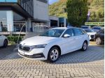 Škoda Octavia Octavia Wagon 2.0 tdi evo Executive 150cv dsg