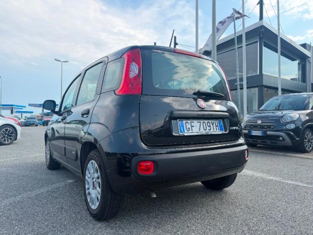 FIAT Panda 3ª serie Panda 1.0 FireFly S&S Hybrid - Foto 8