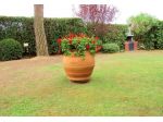 Villetta bifamiliare in vendita a Pontedera 200 mq  Rif: 991397
