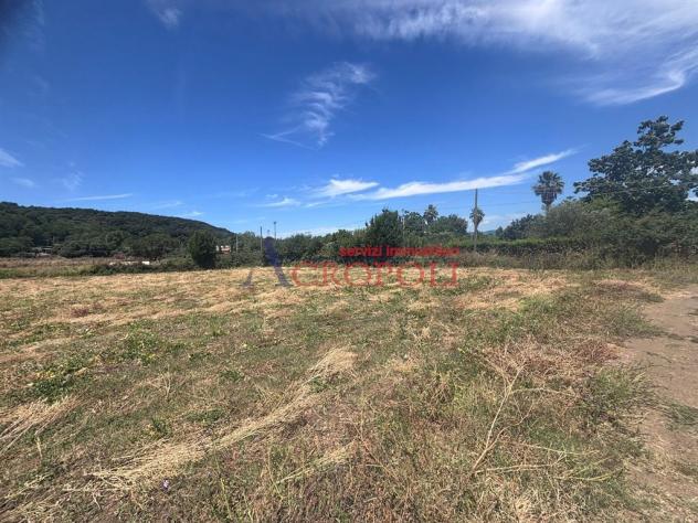 Terreno Agricolo - Rif. 2672 - Foto 10