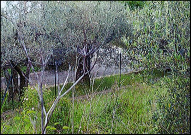 Immobile in asta di 1 m² in vendita a Montegabbione - Foto 14