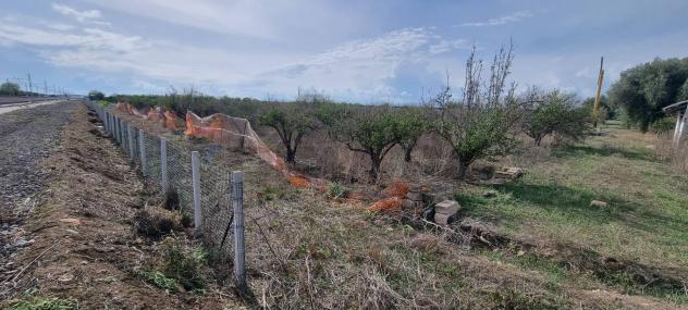 Terreno in vendita a Paternò - Foto 17