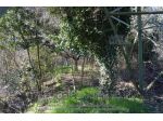 IMMOBILI-ALTRA CATEGORIA-Via Pianette, 55041 Camaiore LU, Italia