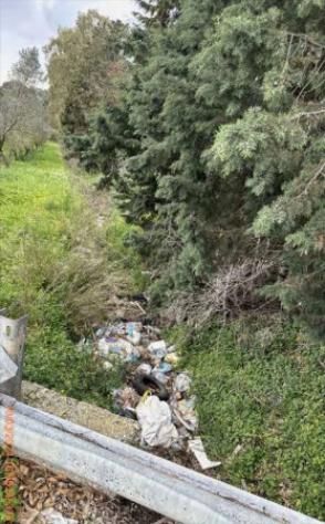 Immobile in asta di 79900 m² in vendita a Feroleto Antico - Foto 7