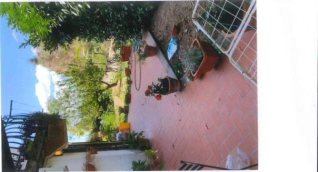 Immobile in asta di 105 m² con più di 5 locali in vendita a Canino - Foto 7