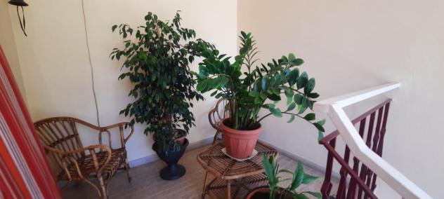 Appartamento in vendita a San Romano - Montopoli in Val d'Arno 120 mq Rif: 1419466 - Foto 2
