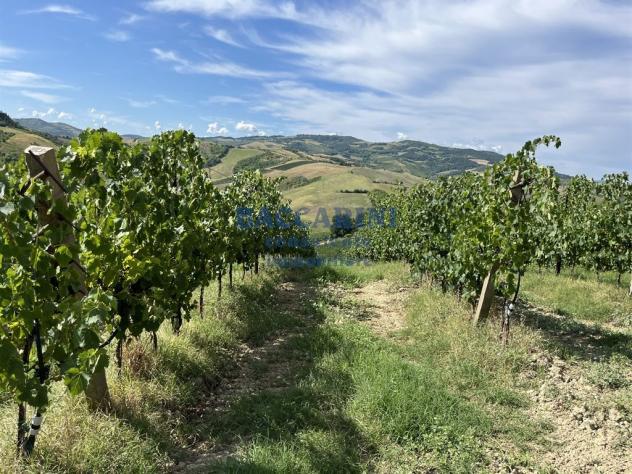 PODERE AGRICOLO CON CAPANNONE - BRISIGHELLA - FAENZA - VIA AGELLO E SANDRONA - Foto 11