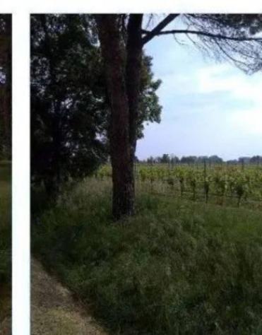 Immobile in asta di 50060 m² in vendita a Caneva - Foto 8