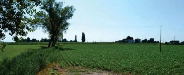Immobile in asta di 47488 m² in vendita a Villaga - Foto 6