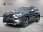 Toyota RAV4 V 2019 2.5 vvt-ie h Dynamic 2wd 218cv e-cvt