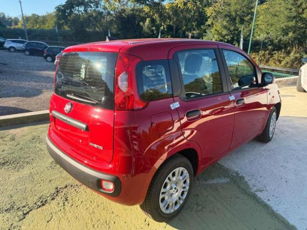 FIAT Panda 1.0 FireFly S&S Hybrid Icon rif. 24100303 - Foto 3
