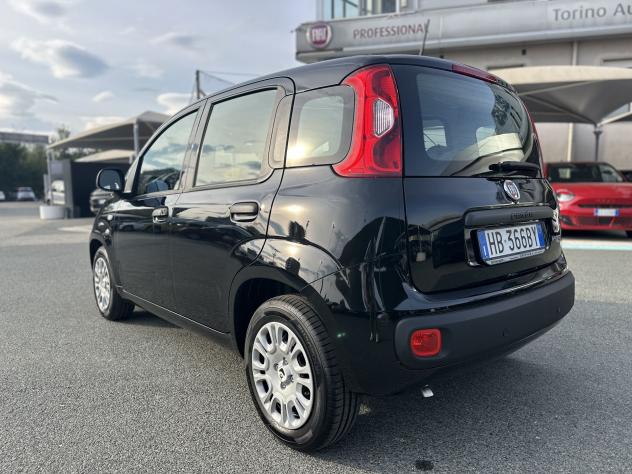 FIAT Panda Panda 1.0 FireFly S&S Hybrid - Foto 5