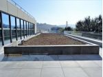 Ufficio in affitto a Senigallia