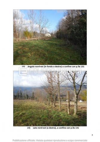 Terreno di 13290 mq in vendita a Aviano - Rif. 4551424 - Foto 8