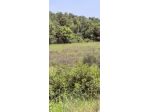 Terreno agricolo in vendita a Ferratore - Siena 55000 mq Rif: 1405669