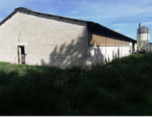 Immobile in asta di 35 m² con più di 5 locali in vendita a Banzi - Foto 10