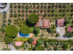 Casa vazanze Vada a 4 km spiagge bianche