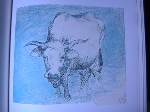 LORENZO VIANI - DISEGNI E XILOGRAFIE - Foto 2