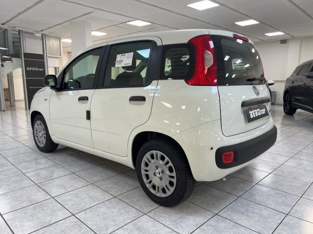 FIAT Pandina 1.0 FireFly 65cv S&S 6m Hybrid Icon - Foto 7