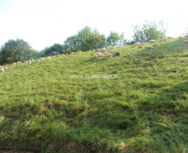 Terreno di 6000 m² in vendita a Gorno