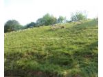 Terreno di 6000 m² in vendita a Gorno