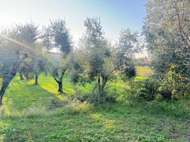 Terreno edificabile in vendita a Pietrasanta - Foto 2