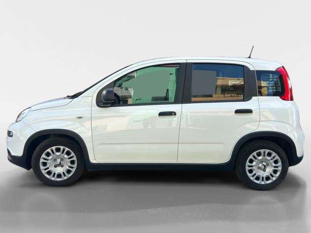 Fiat Panda 1.0 FireFly S&S Hybrid Pandina - Foto 3