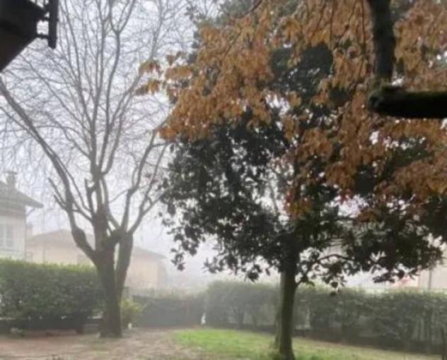 Immobile in asta di 126 m² in vendita a Monticelli d'Ongina - Foto 2