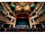 Cantante lirico (tenore) si offre a Novara