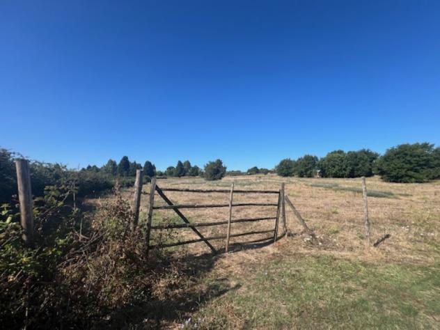 Agricolo in Strada di Sant'Anna - Foto 4