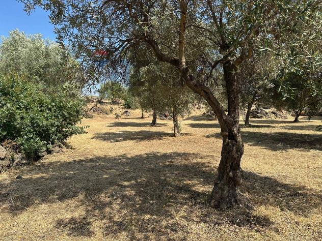 Terreno in vendita a Misterbianco - Foto 17