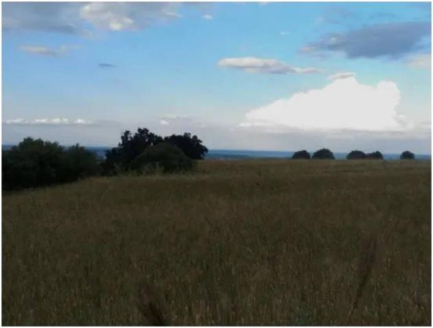 Immobile in asta di 216336 m² in vendita a Nova Siri - Foto 4