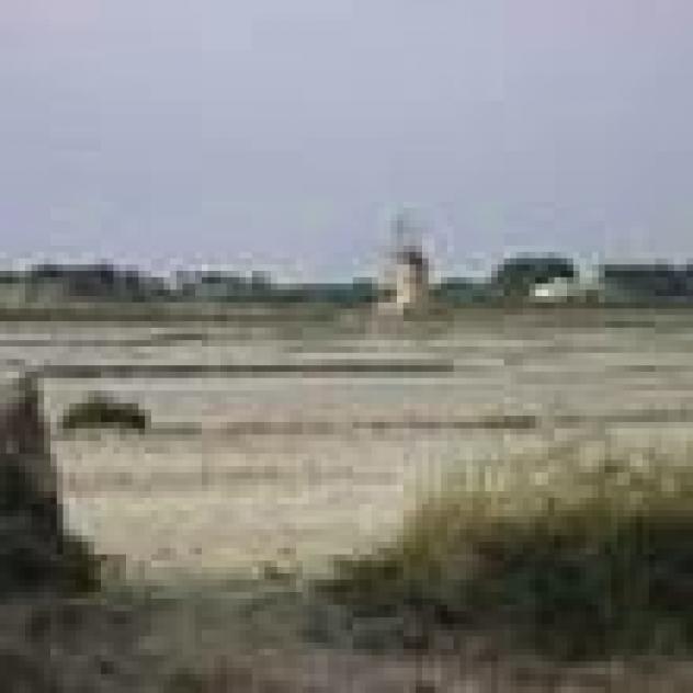 ''U Timpuni Azienda Agricola di Vito Sanclemente' - Foto 2