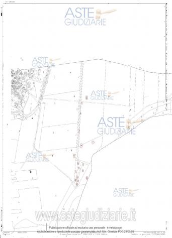 IMMOBILI-ALTRA CATEGORIA-Località Le Conce - Foto 3
