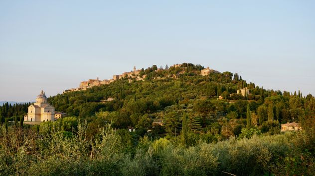 Vigneto in vendita a Montepulciano (Siena)
