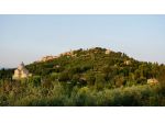 Vigneto in vendita a Montepulciano (Siena)