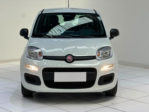 FIAT Pandina Pandina 1.0 firefly hybrid Icon s&s 65cv 5p.ti - Foto 7