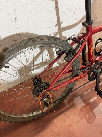 bicicletta - Foto 2
