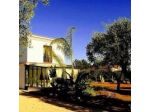 Il Giardino del Te di Adriana Paolillo