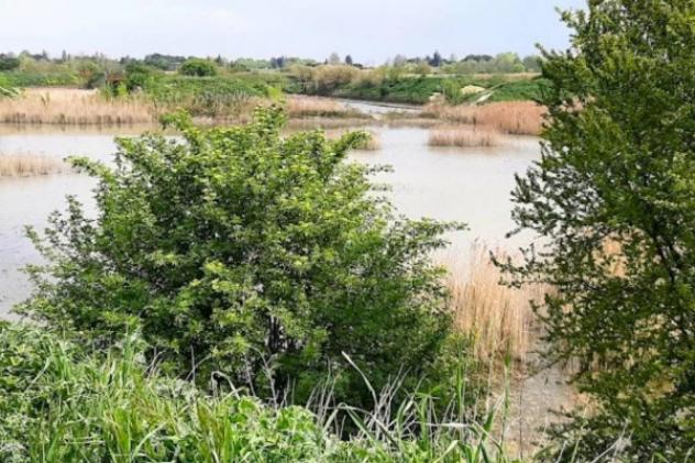 Immobile in asta di 130 m² in vendita a Meldola - Foto 10