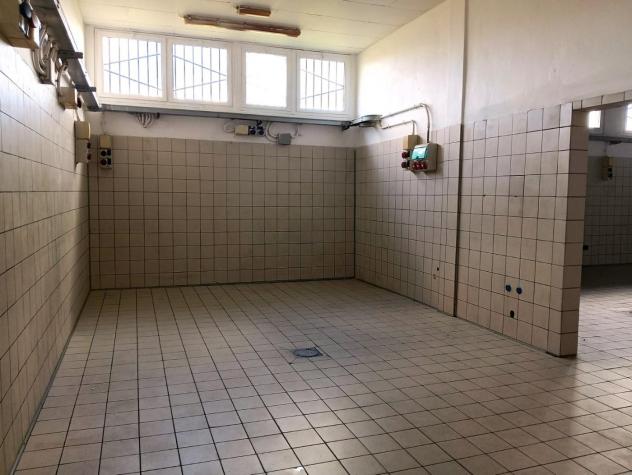 Laboratorio in affitto a Colignola - San Giuliano Terme 200 mq Rif: 1400322 - Foto 2