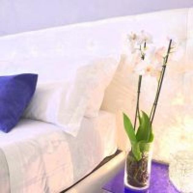 B-Cool Rome - Adults Only Bed & Breakfast - Foto 2