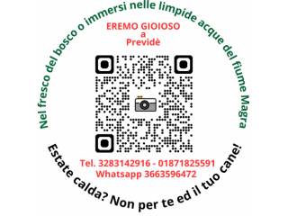 Vacanza con il cane