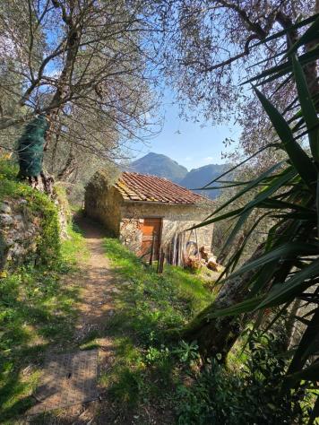 Rustico in vendita a Torcigliano - Camaiore 31 mq Rif: 1409772