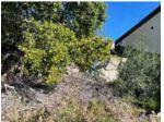 Immobile in asta di 4070 m² in vendita a Scilla