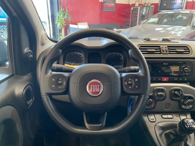 FIAT Panda Cross 1.0 70cv S&S Hybrid City Cross - Foto 10