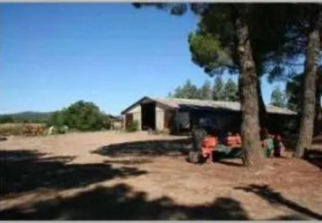 Immobile in asta di 4130 m² in vendita a Gavorrano - Foto 11