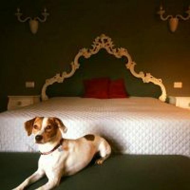 B&B Villa Anna - Foto 3